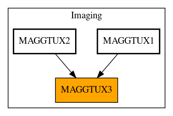 Caller Graph