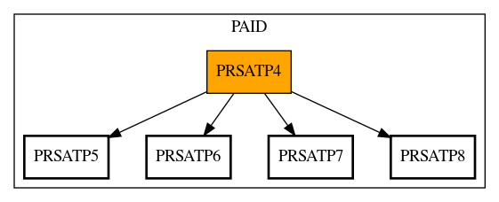 Call Graph